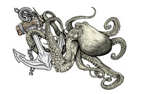 Octopus.  (Gallery 25)