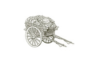 Farmers Cart.  (Gallery 16)
